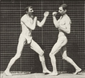 Plate 336 Boxing, open hand — figure reference